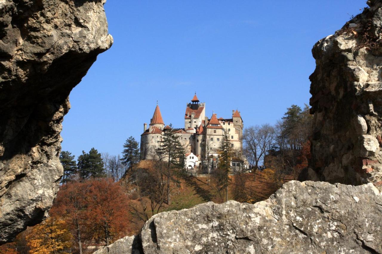 La Maison Des Reves - Bran Бран Экстерьер фото